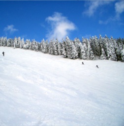 群馬県　スキー場